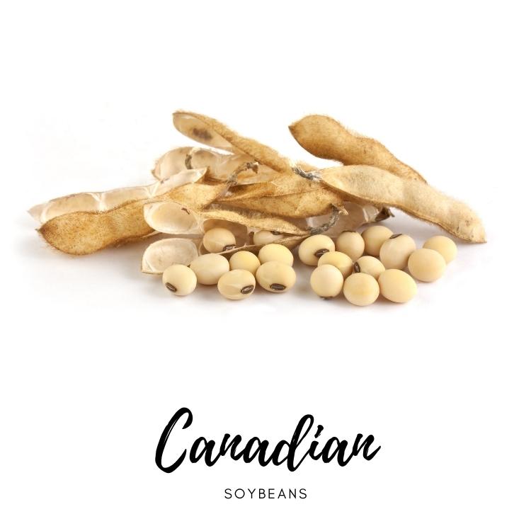 Canadian soybeans