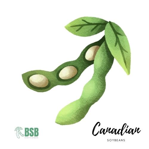 Soybeans exporter